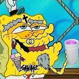 Meet your Posher, Lily